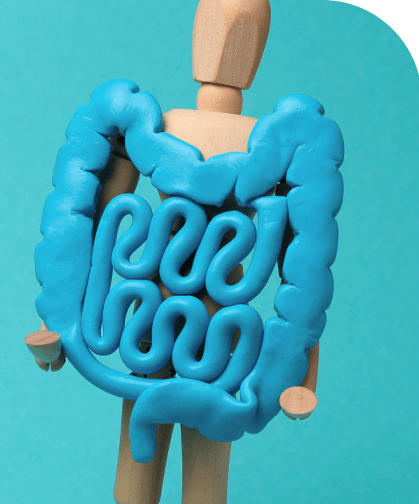 colon-rectum-colorectalcancer